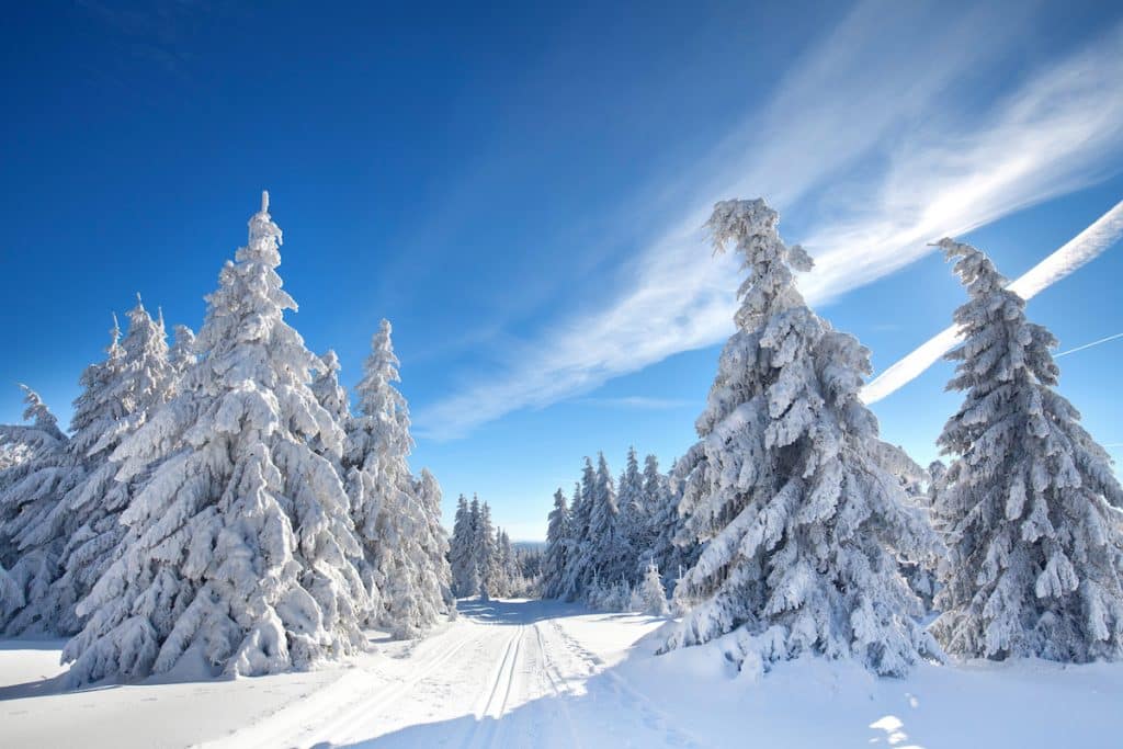 Winterzauber: Wo Deutschland im Winter am schönsten ist